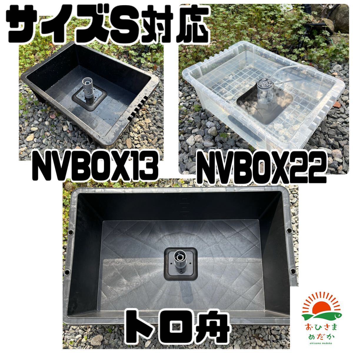 [mi Gin ko breeding vessel S size NVBOX22 correspondence ] Moina macrocopa Thai likmi Gin ko oo mi Gin ko breeding vessel me Dakar egg medaka colored carp goldfish tropical fish . fish raw bait culture medium extra 