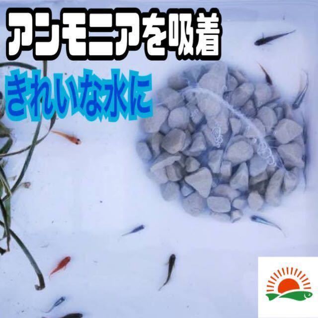 初心者に【アンモニア吸収石　1ネット】めだか　PSB　メダカ卵　針子　稚魚　鯉　金魚　クロレラ　熱帯魚ミジンコ　ゾウリムシ にどうぞ