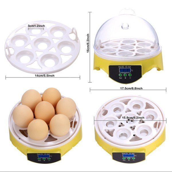 1 jpy ~ egg! manual rotation egg . egg vessel . egg vessel *.. machine 7 piece e Guin kyu Beta - chicken ... birds 