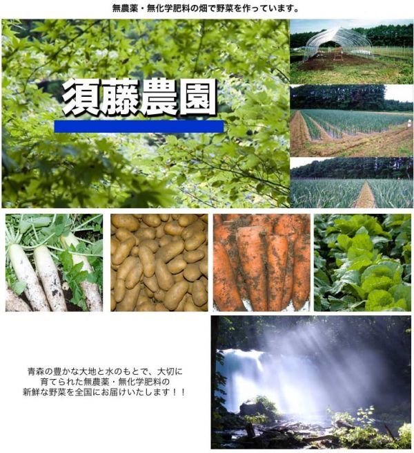 土付き 菊芋 5kg【須藤農園】農薬/化学肥料不使用の画像2