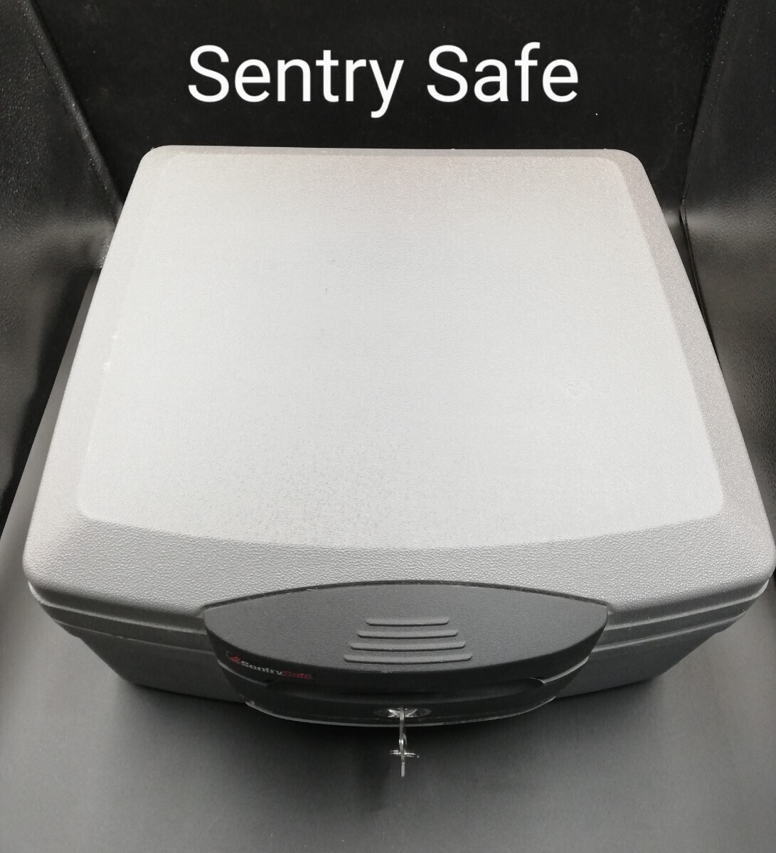 Sentry Safe цент Lee портативный несгораемый сейф несгораемый сейф система безопасности ключ имеется 