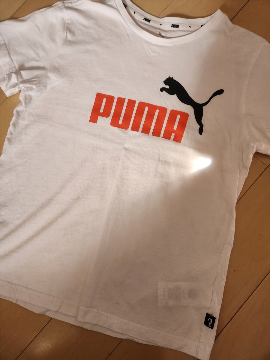 ☆プーマ　PUMA　半袖Tシャツ　150☆_画像1