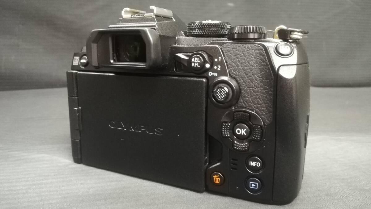 【美品♪】OLYMPUS オリンパス OM-D E-M1 Mark Ⅲ ボディ 2037万画素 ミラーレス 一眼 カメラ/動作品_画像5