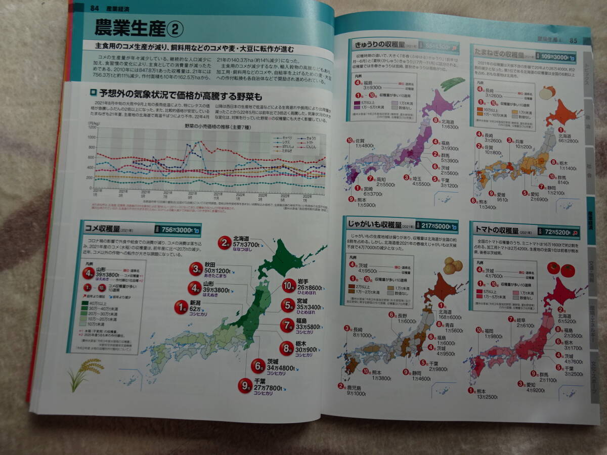 今がわかる時代がわかる日本地図　２０２３年版 （ＳＥＩＢＩＤＯ　ＭＯＯＫ） 成美堂出版編集部／編集