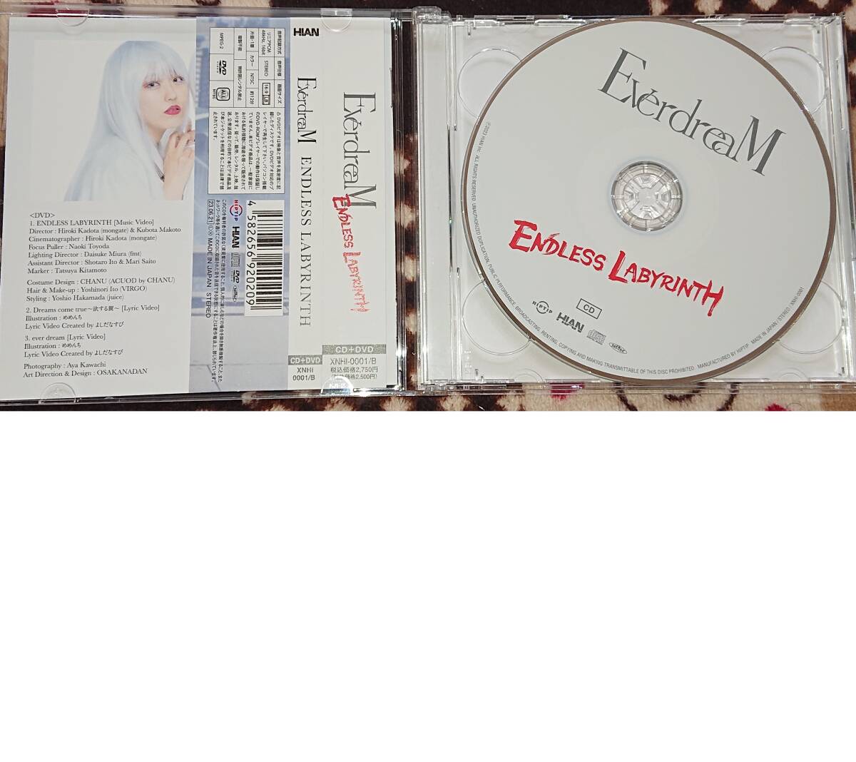 [国内盤CD] EverdreaM/ENDLESS LABYRINTH [CD+DVD] [2枚組]_画像3