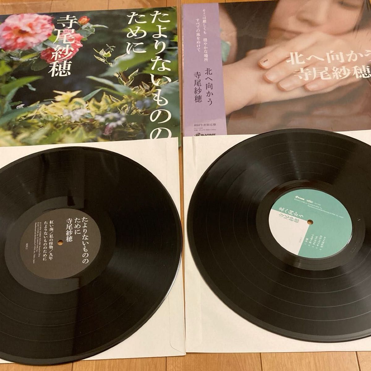 寺尾紗穂　たよりないもののために　北へ向かう　レコード　アナログ盤　青葉市子　GEZAN 原田郁子　冬にわかれて　七尾旅人