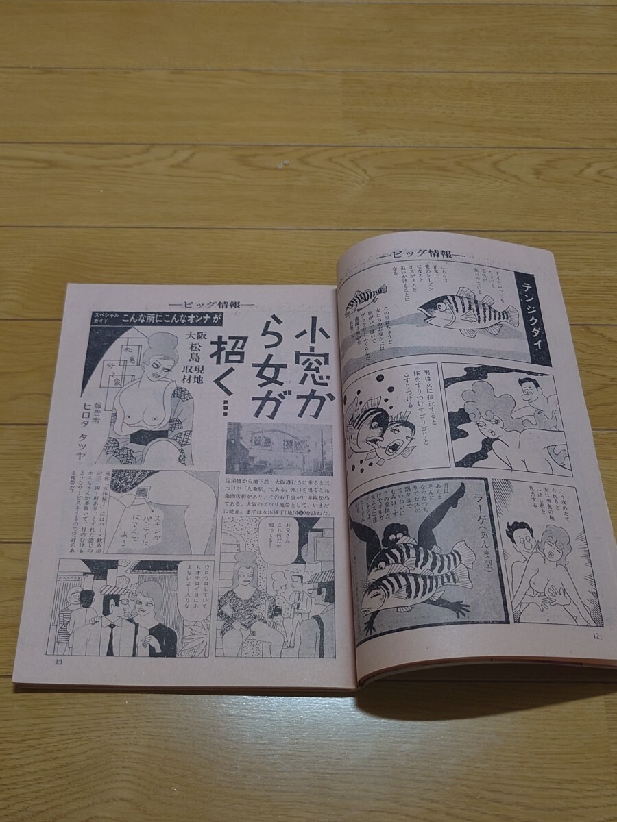 『週刊ビッグ情報』昭和47年11月27日号　阪本誠一　名保木勝　前田海　勝木てるお　MARO東_画像5