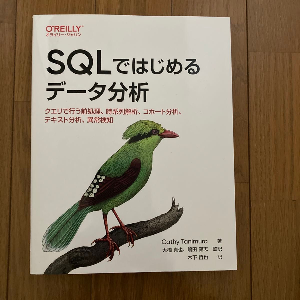 SQLではじめるデータ分析 : クエリで行う前処理、時系列解析、コホート分析、…