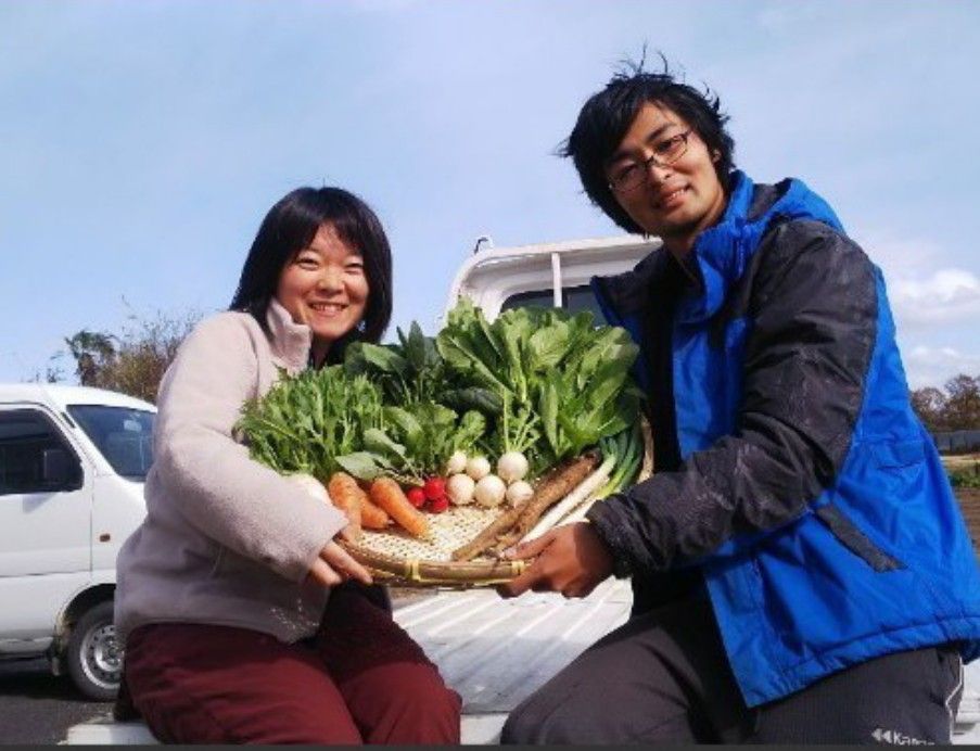 新鮮！旬の野菜セット(春) Mサイズ 栽培期間中農薬・化学肥料不使用
