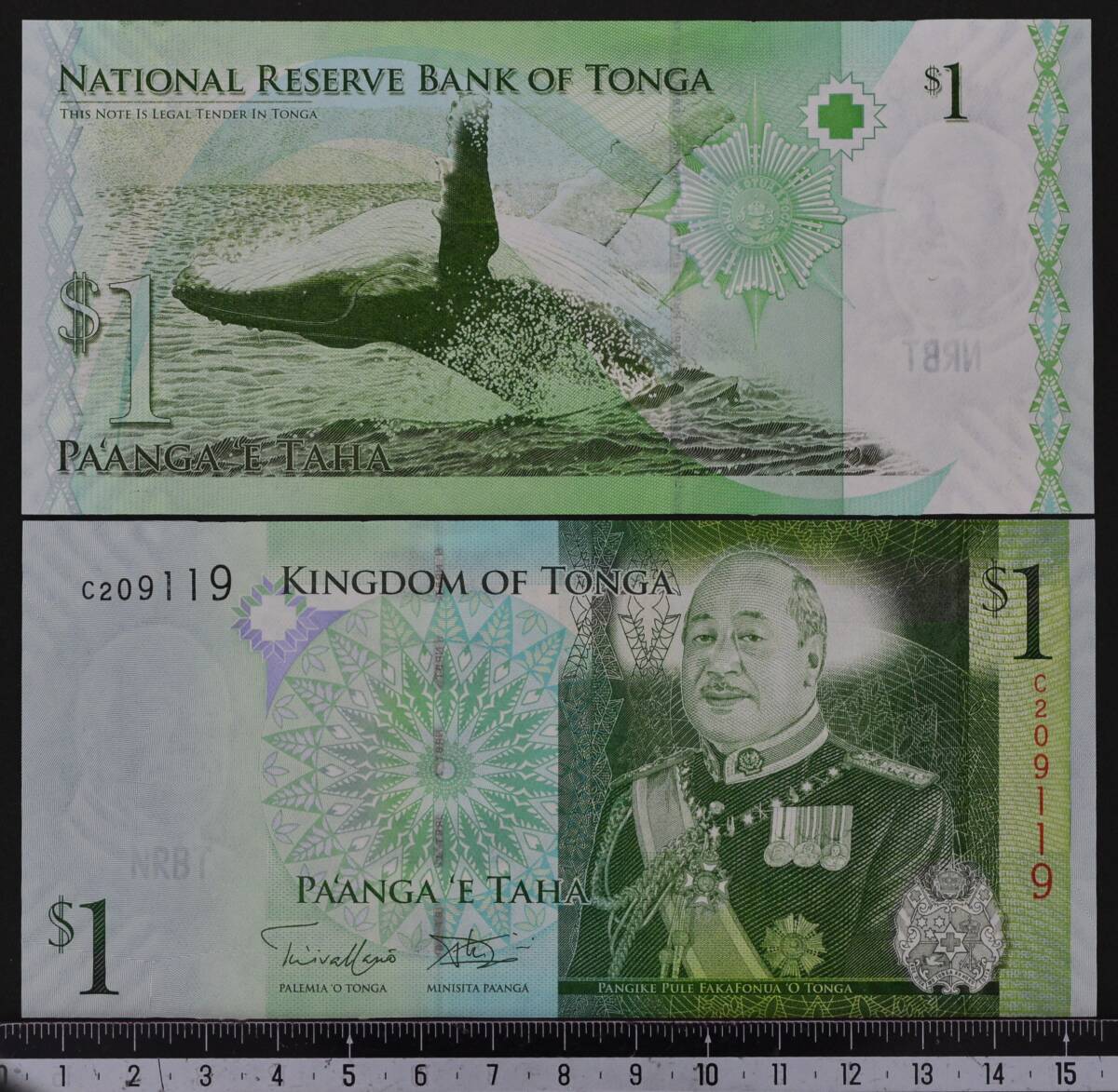 外国紙幣 トンガ 2008年 未使用 1パアンガ_画像1