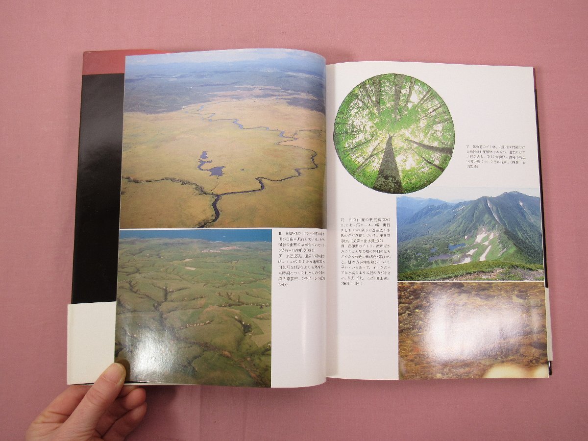売れ筋がひ贈り物! 』 全8巻セット 地域編 日本の自然 岩波書店 地学 - 地学