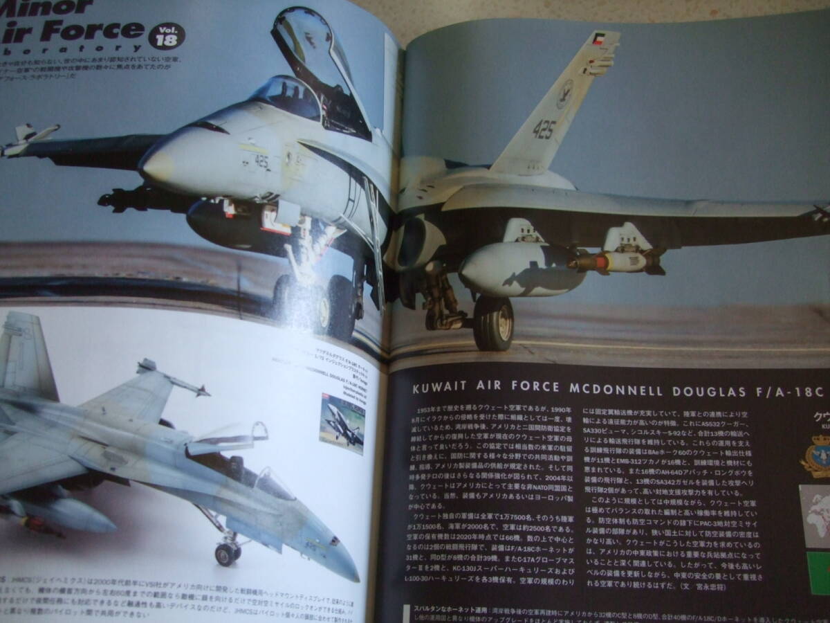 【A-4絶版懐古】SA／Scale Aviation／スケールアヴィエーション 2022-1 　付録DVDなし雑誌のみ　ヒコーキ模型早作り。木村理恵ピンナップ_画像9