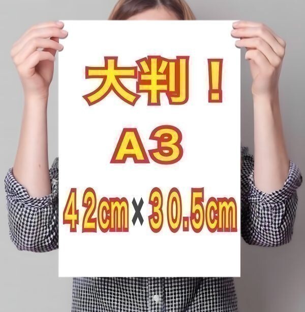 ** roller B A3 poster super lustre large size 42cm×30.5cm! life photograph *713* Junior idol life-size manner L