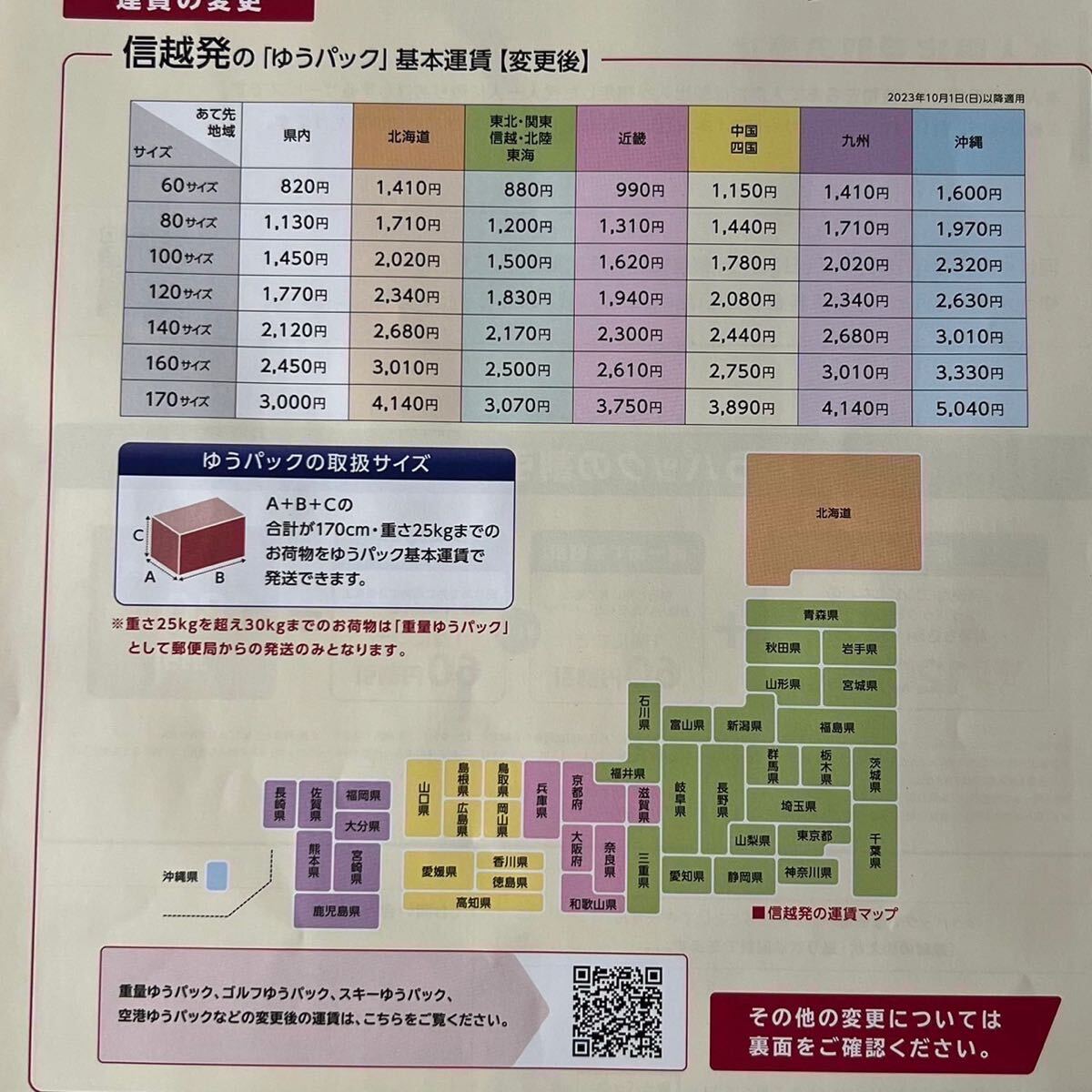 フェロカクタス 実生　雷帝　サボテン多肉植物 _画像8