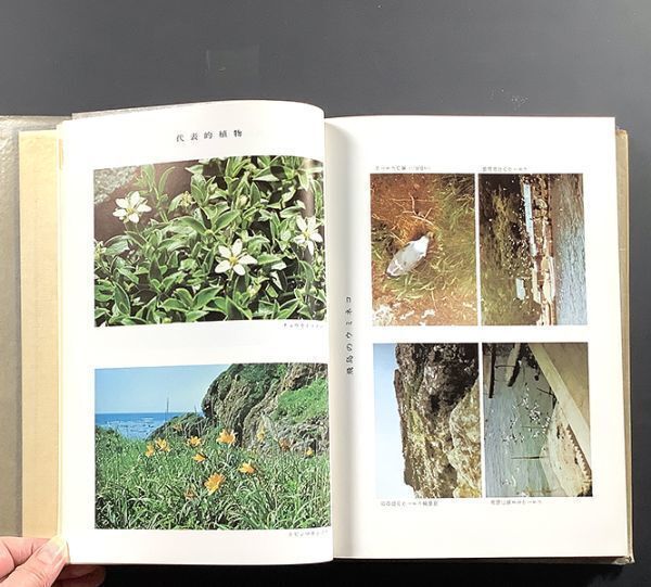 素敵な 鳥海山・飛鳥” 地図付 / 山形県総合学術調査会 昭和47年 / 函 生物学