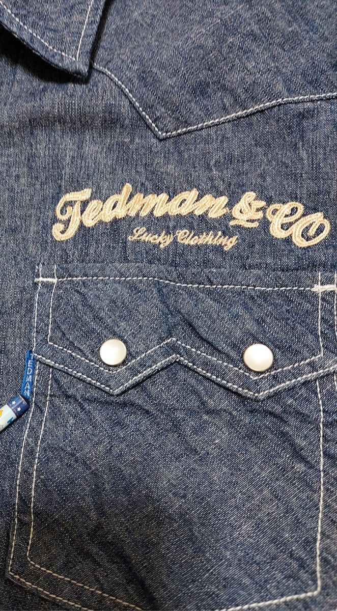 TEDMAN テッドマン　半袖 刺繍ワークシャツ Lサイズ