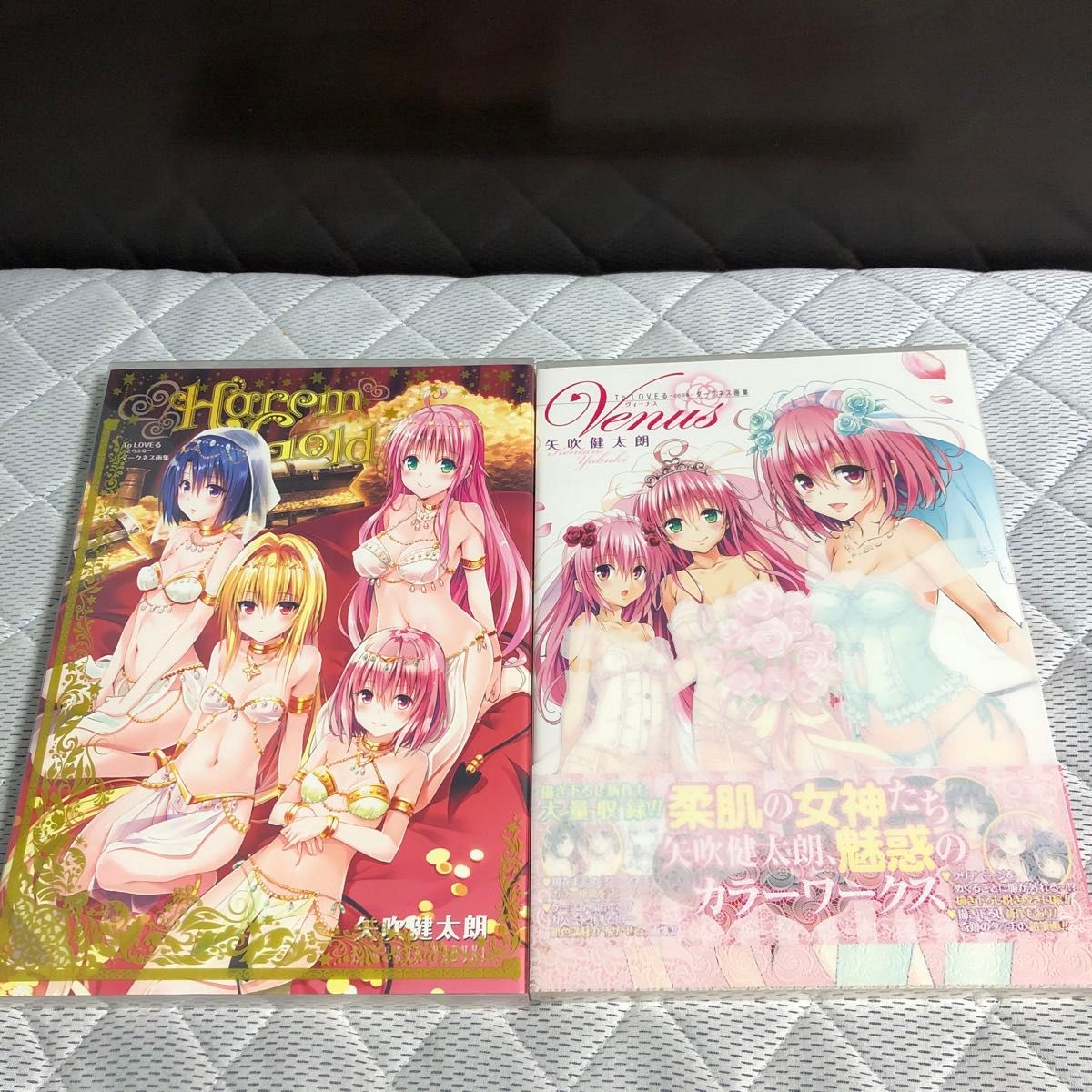 とらぶる ダークネス画集 2冊セット Venus Harem Gold