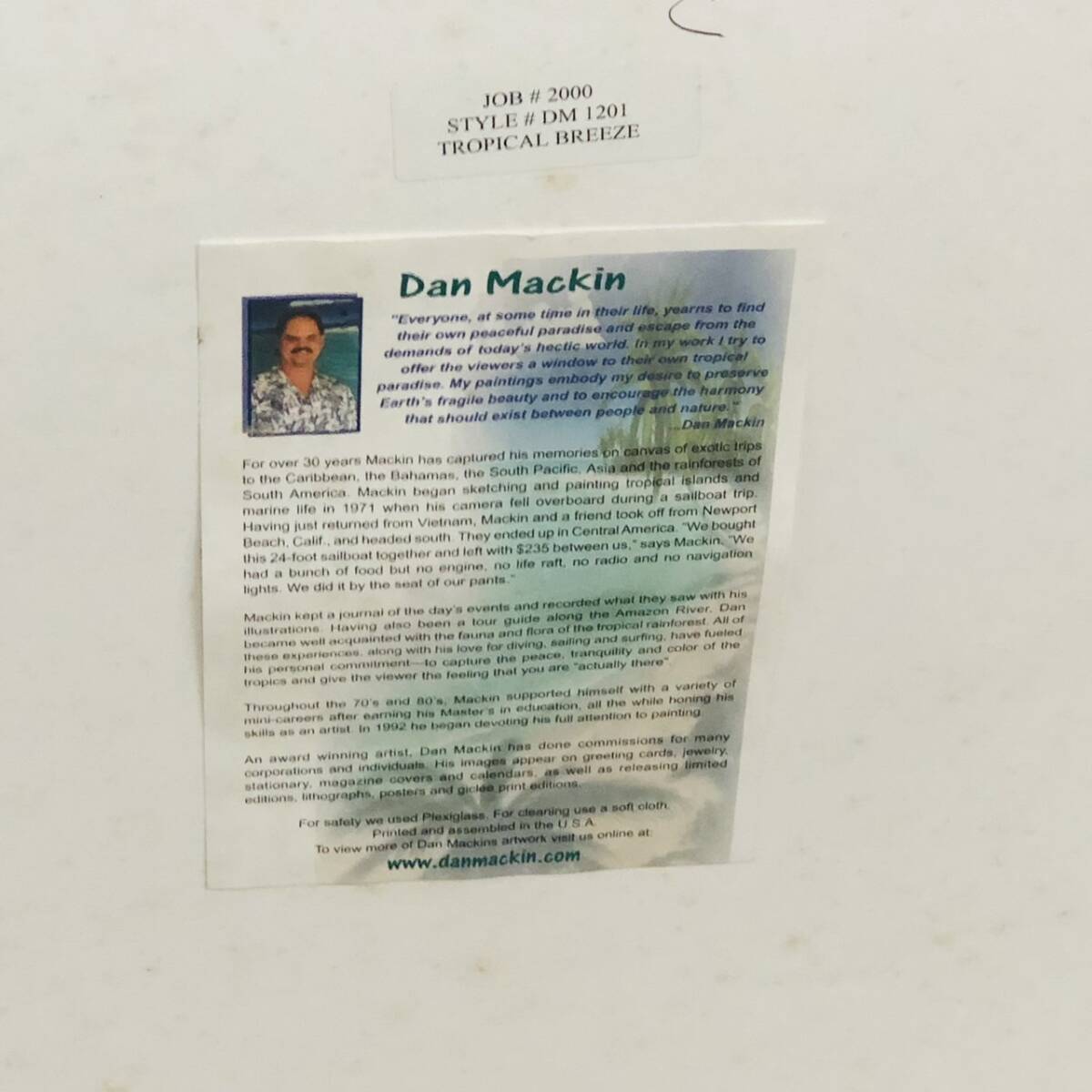 【OP-5.1SA】1円～ 模写 絵画 Dan Mackin ダンマッキン 海 浜辺 熱帯 平和 静けさ 風景 輝く水 自然 植物 鮮やかな色 イルカ 美術品 絵の画像7
