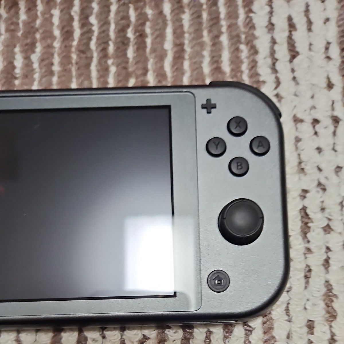 Nintendo Switch Lite ニンテンドースイッチ ディアルガ パルキア