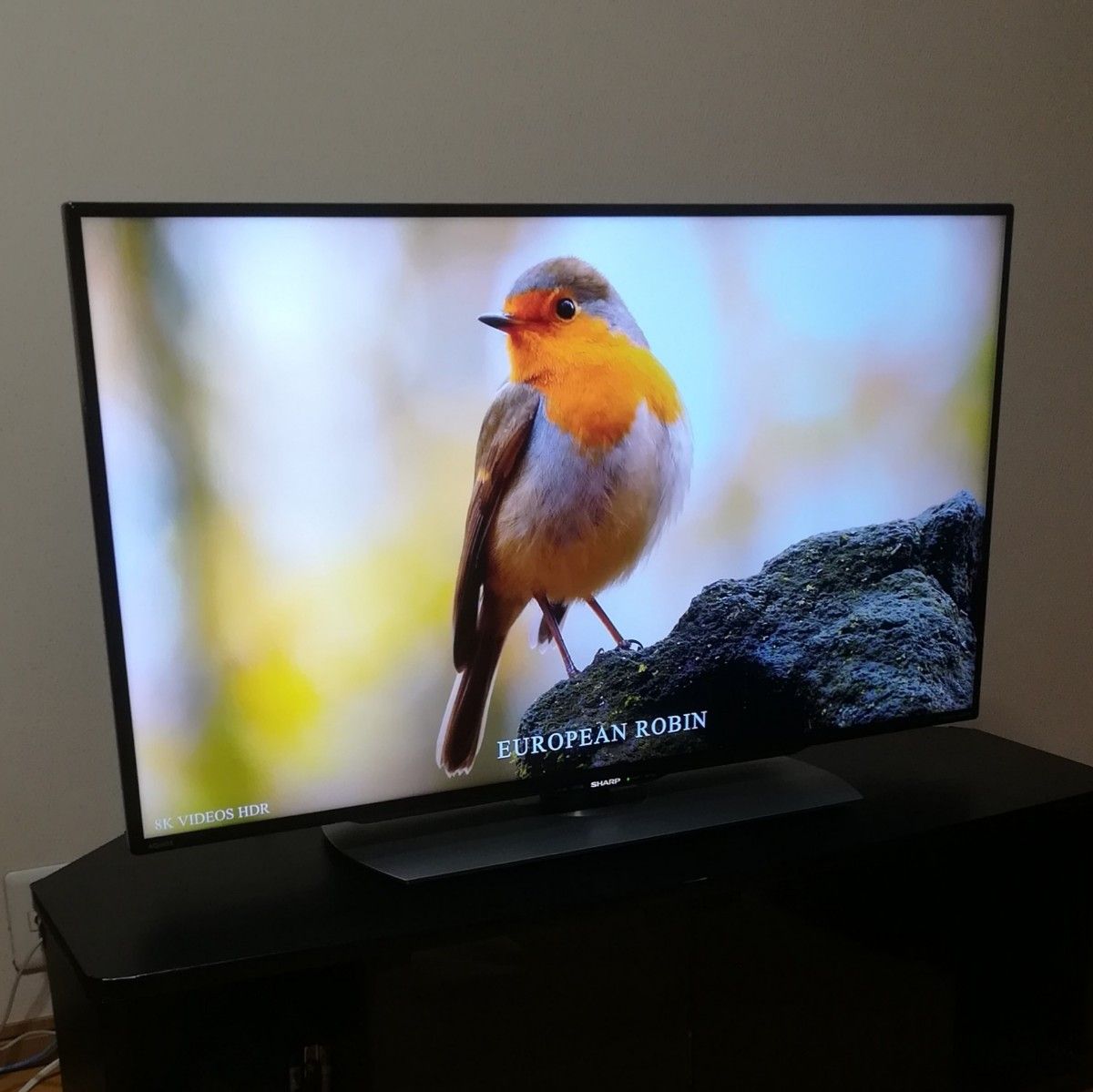 【美品／4K AQUOS／W録HDDセット 】40型液晶テレビ