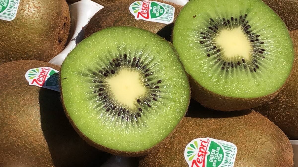 Zespri GREEN ゼスプリ グリーンキウイ 超大玉 2.2kg以上 (約18個~22個入)_画像1