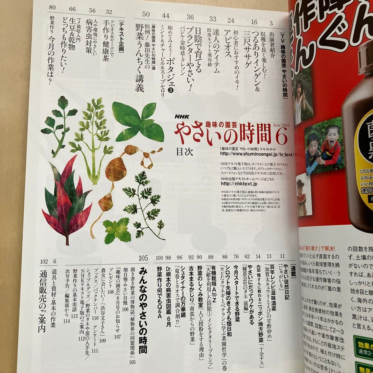 NHKテキスト 趣味の園芸 やさいの時間　2013年2014年　6月号 2冊セット　 NHK出版