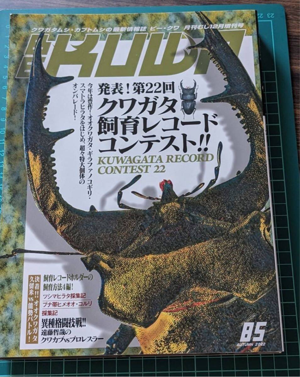  stag beetle * rhinoceros beetle. newest information magazine Be *kwa monthly .. increase .BEKUWA 85