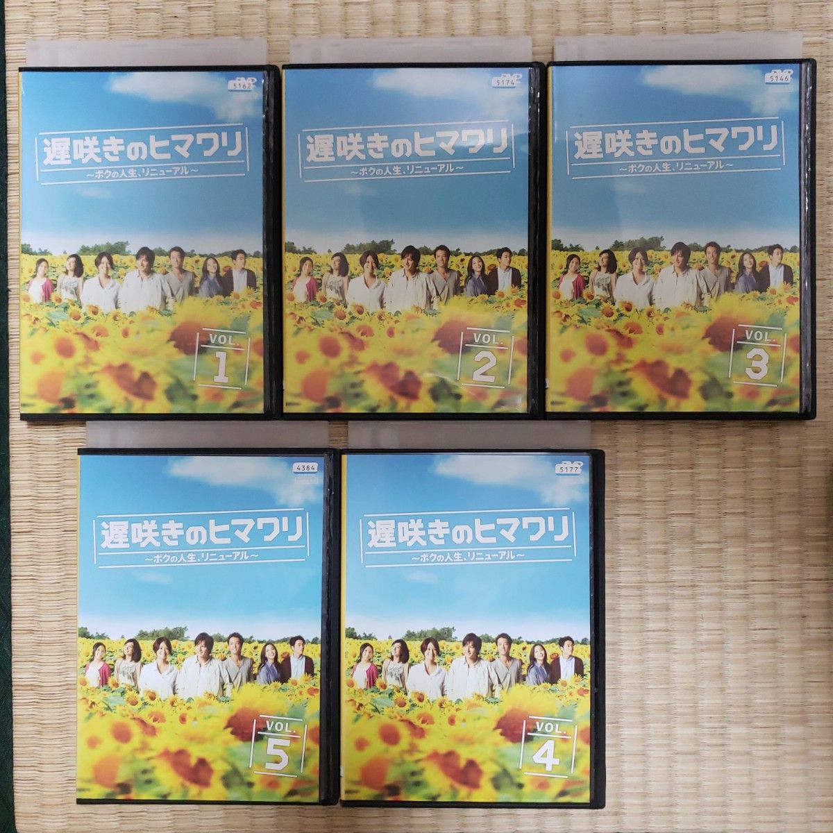 DVD 遅咲きのヒマワリ～ボクの人生、リニューアル～ 全5巻セット 生田斗真 真木よう子