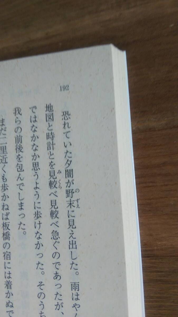 （BT-20）　新編 みなかみ紀行 (岩波文庫)　　著作者＝若山牧水　　編者＝池内　紀　