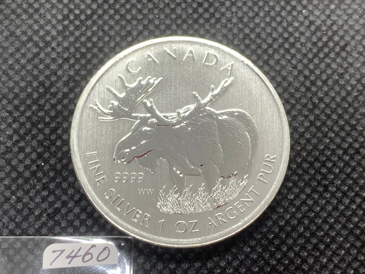 31.1 グラム 2012年 (新品) カナダ「ヘラジカ・ムース」 5ドル 純銀 1オンス 銀貨の画像1