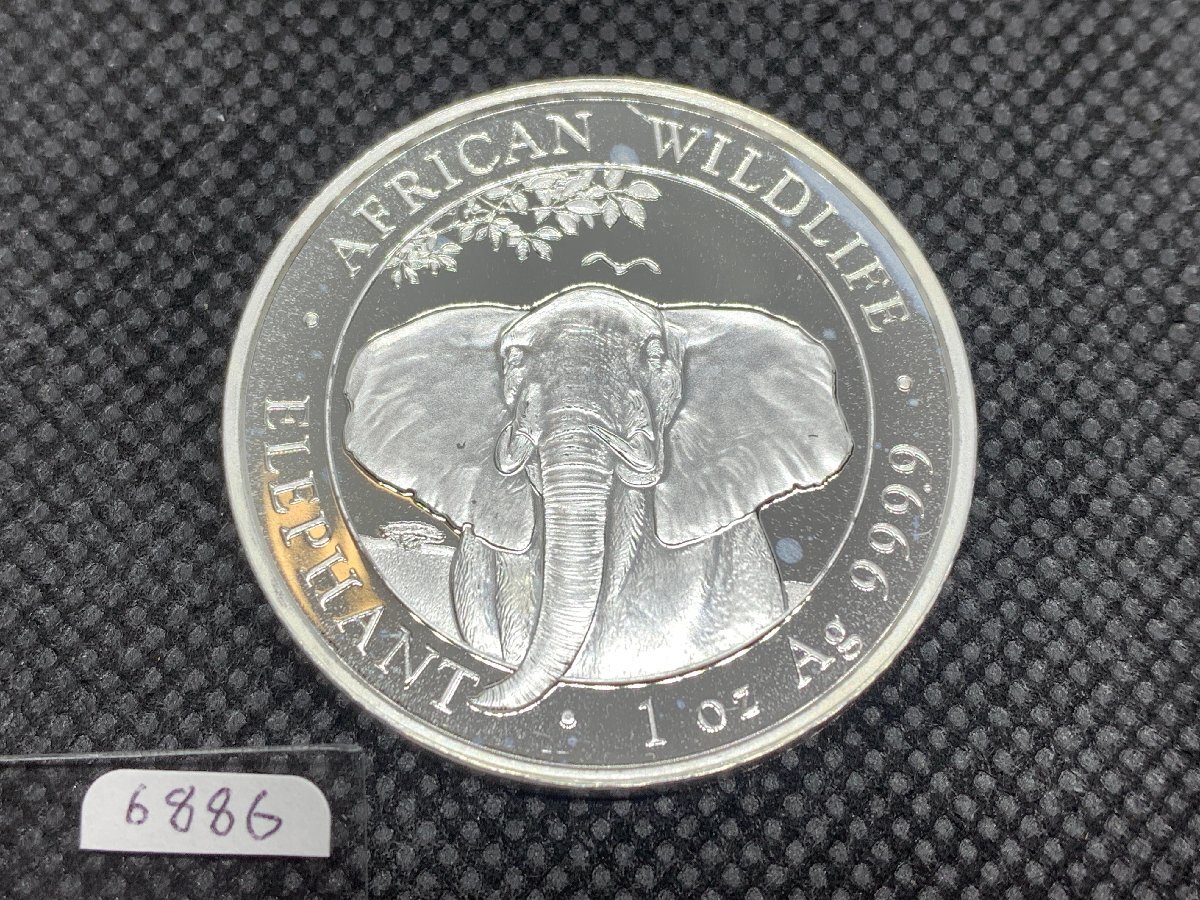 31.1グラム 2021年 (新品) ソマリア「アフリカ ワイルドライフ・ゾウ」純銀 1 オンス 銀貨の画像1