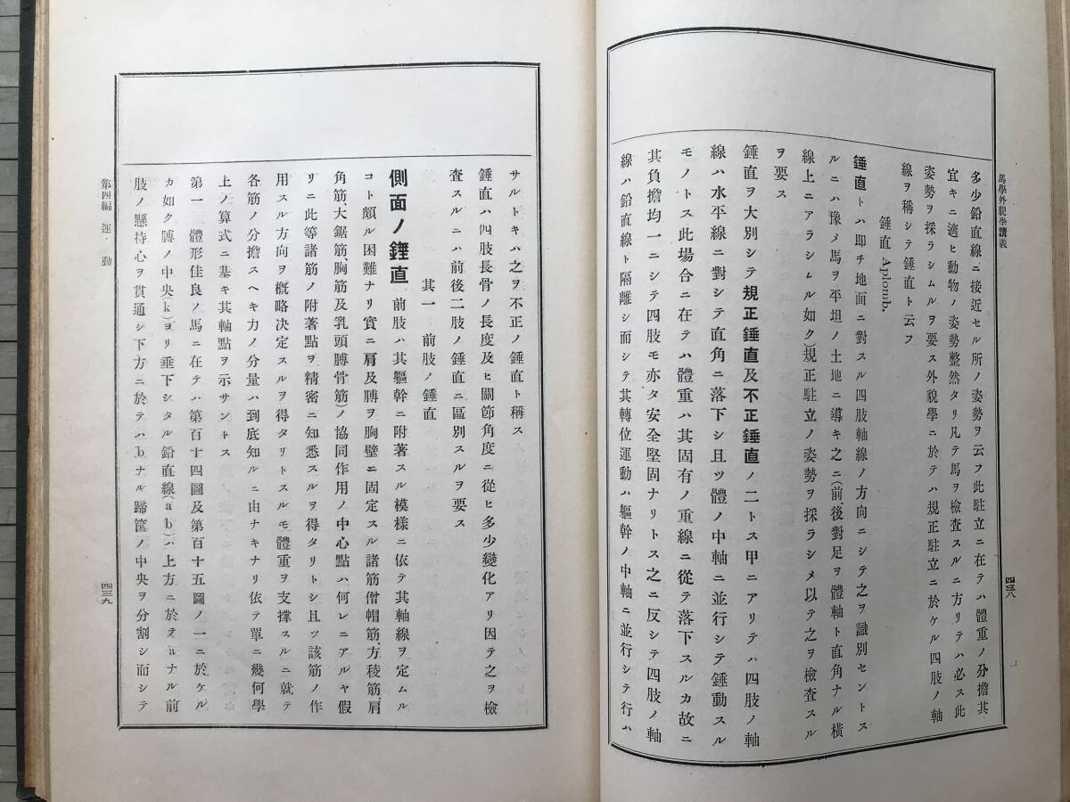 『馬学外貌学講義 下巻』小澤温吉 有隣堂書店 1914年刊 ※東北帝国大学農科大学蔵印あり 運動・年齢・馬相簿・能力又役務・購買 他 30045_画像4