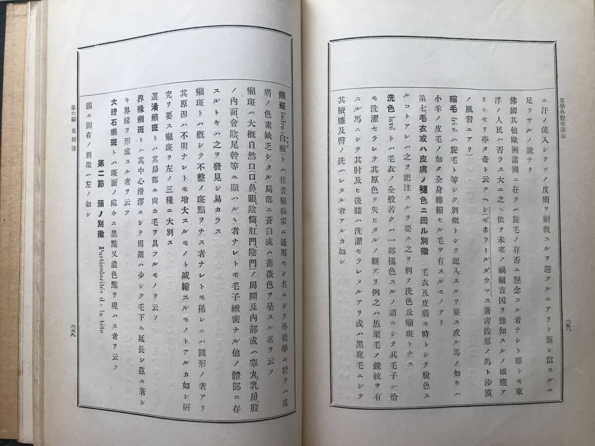 『馬学外貌学講義 下巻』小澤温吉 有隣堂書店 1914年刊 ※東北帝国大学農科大学蔵印あり 運動・年齢・馬相簿・能力又役務・購買 他 30045_画像7