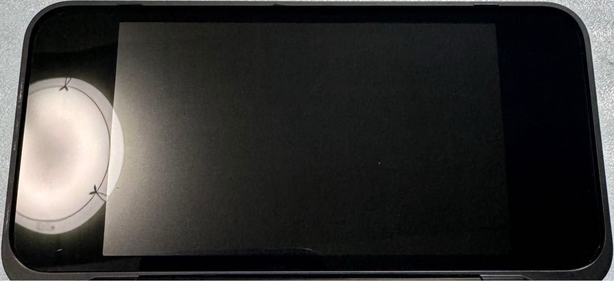 【正常動作品】 Newニンテンドー2DS LL NEW Nintendo 2DSLL 本体 純正充電器・32GB microSD付