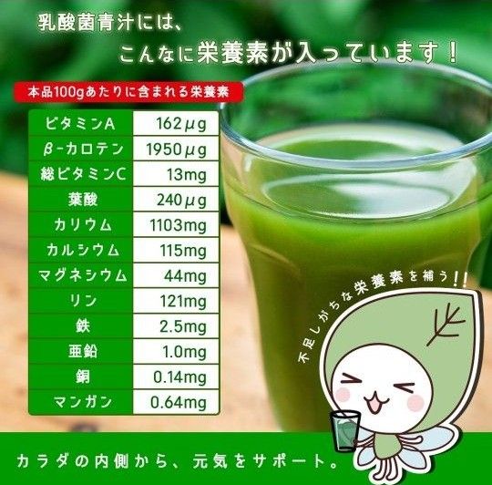 乳酸菌と大麦若葉のチカラ 国産青汁 （3g×21包） 乳酸菌青汁
