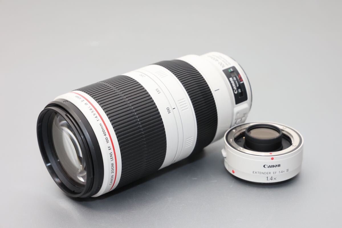 Canon EF100-400/4.5-5.6 L IS Ⅱ USM 1.4xⅢ付の画像2