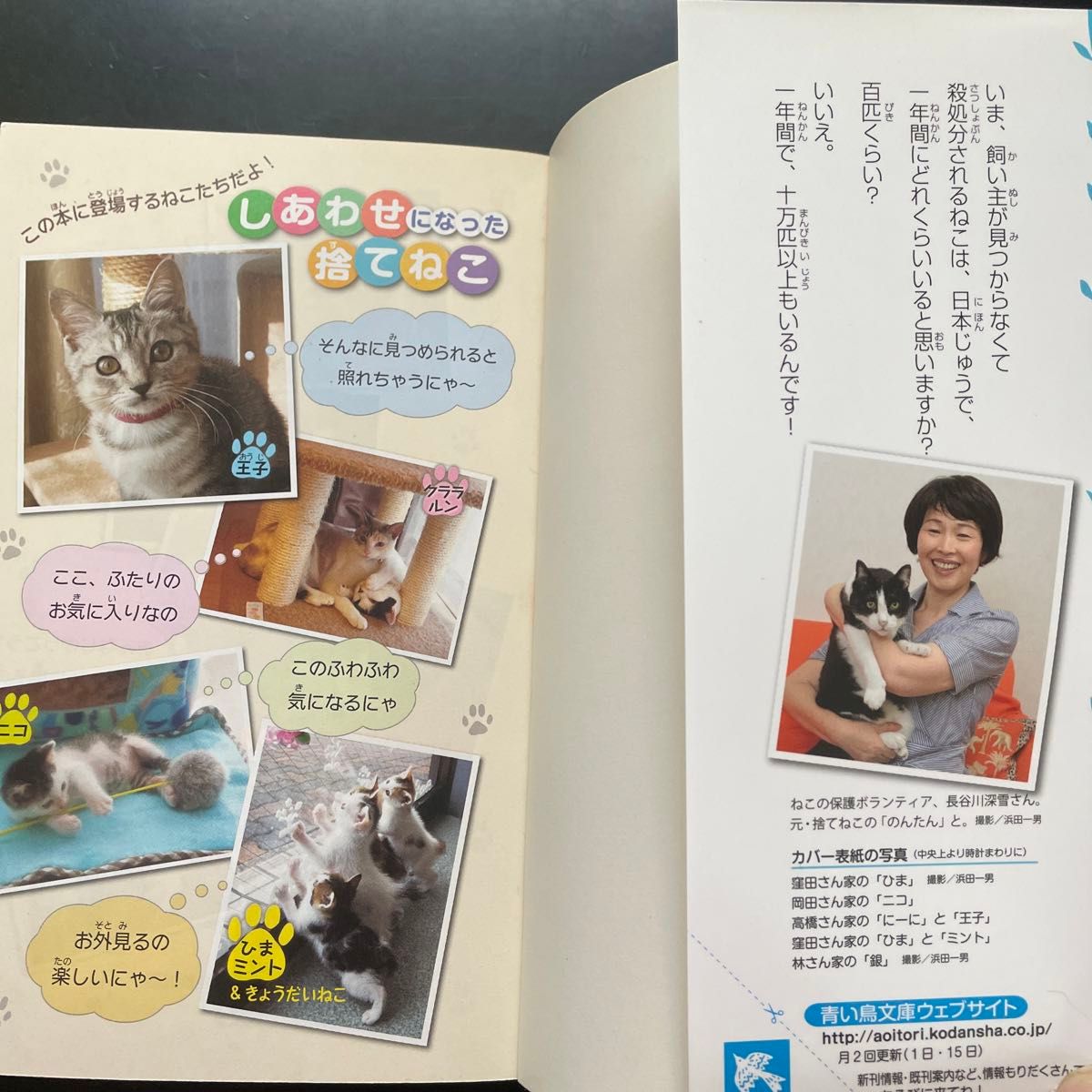 しあわせになった捨てねこ （講談社青い鳥文庫　２７７－２） 今西乃子／原案　青い鳥文庫／編