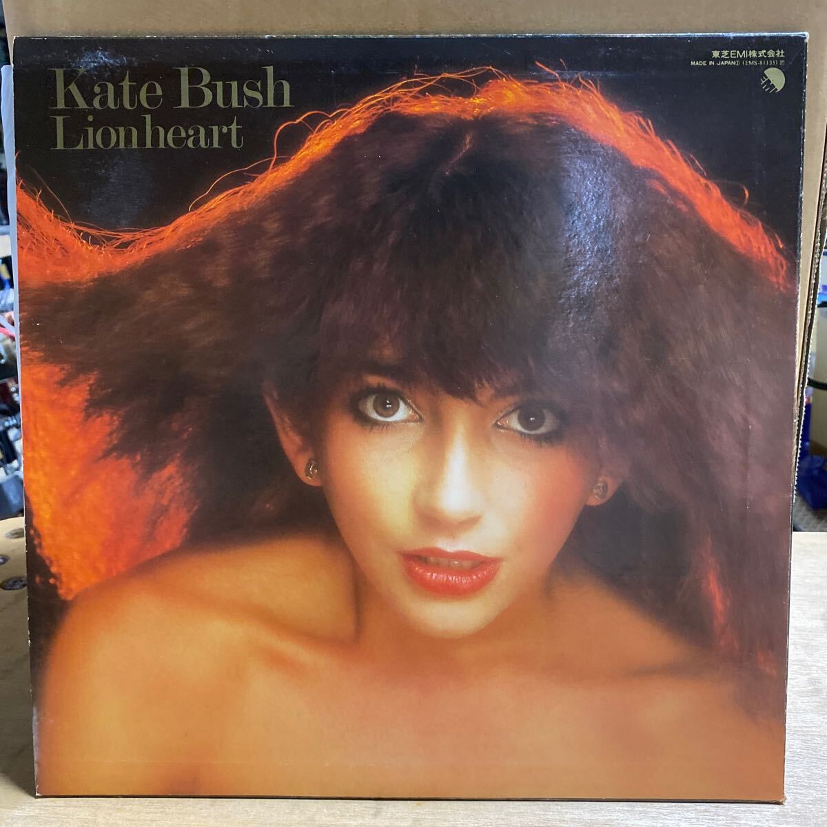 [LP 状態良好] Kate Bush / Lionheart / ケイト・ブッシュ / ライオンハート / B01_画像2