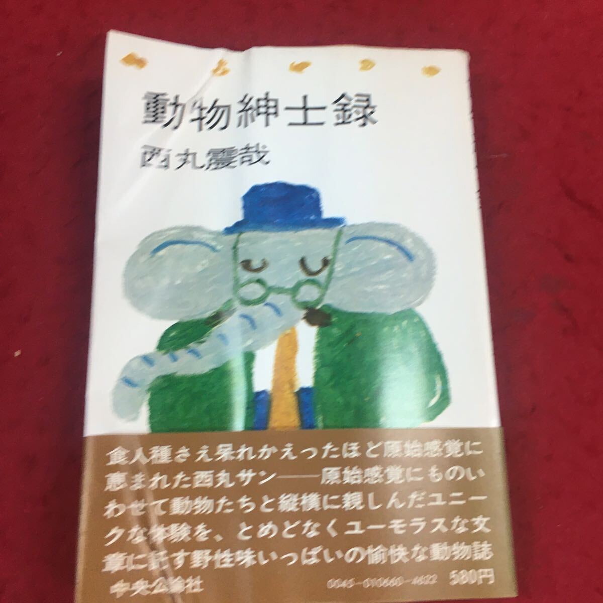 人気を誇る Entomologische Deutsche Zeitschrift 1~36巻 昆虫 人気を誇る Entomologische Deutsche Zeitschrift 1~36巻 昆虫
