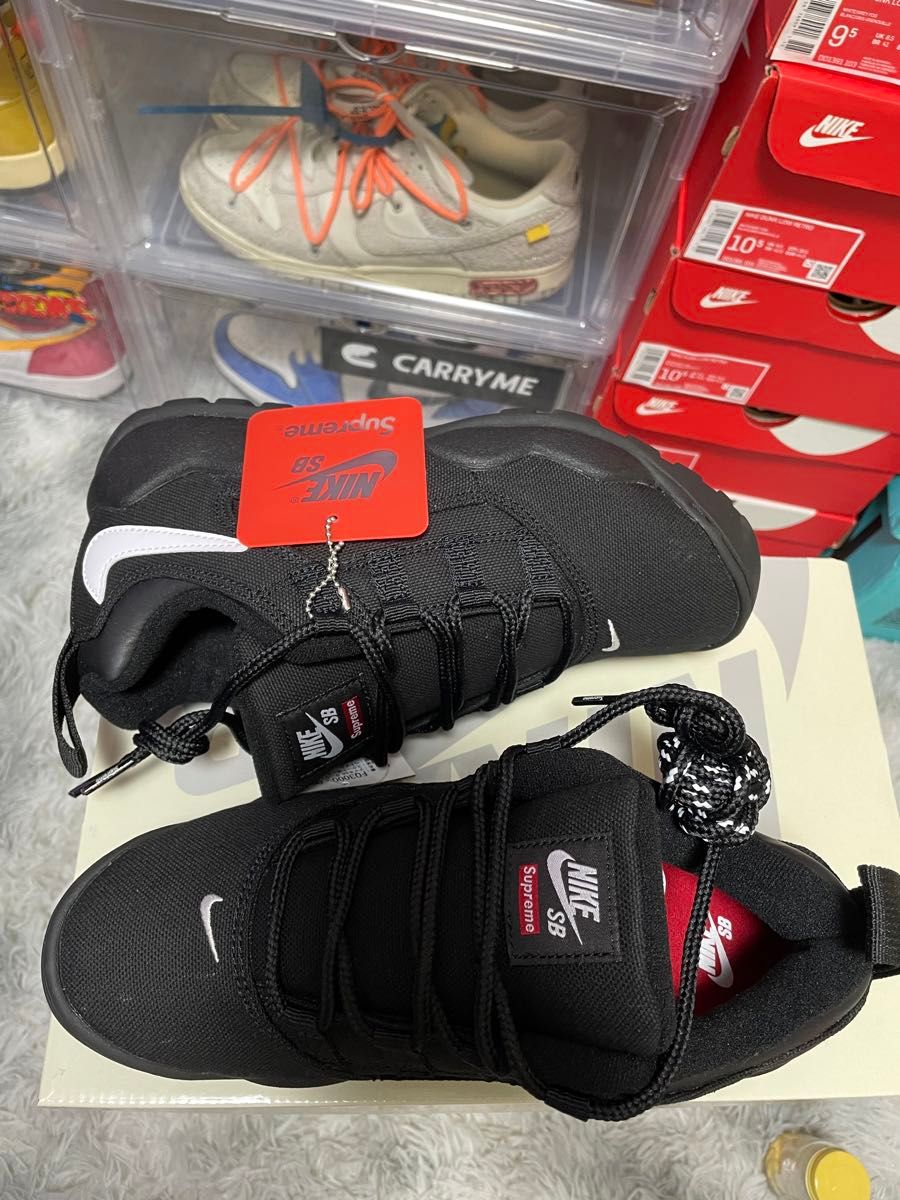 Supreme × Nike SB Darwin Low "Black" 25