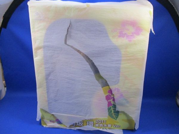 クリスマス特集2024 ToHeart2 向坂環【2011年美色水着ver.】 国内正規品・未使用・未開封品 回天堂 完成品フィギュア ToHeart2