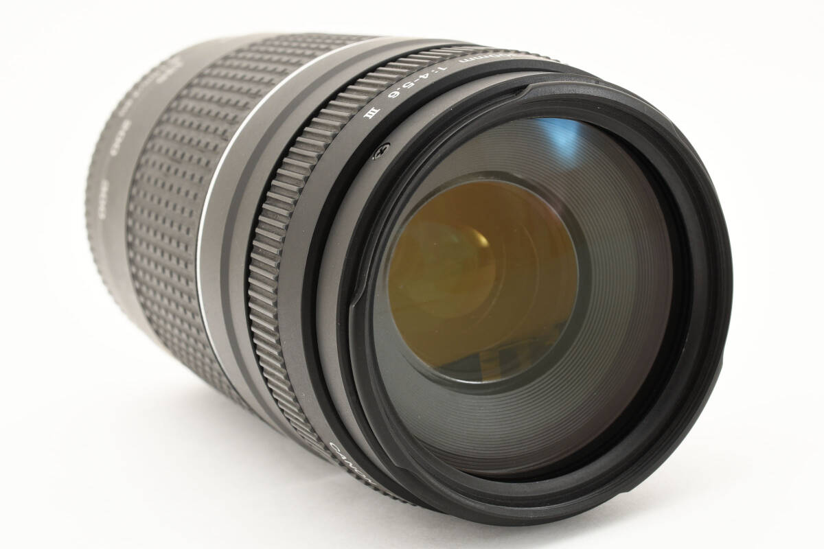 Canon EF 75-300mm F4-5.6 Ⅱ [美品] #2134838A_画像4