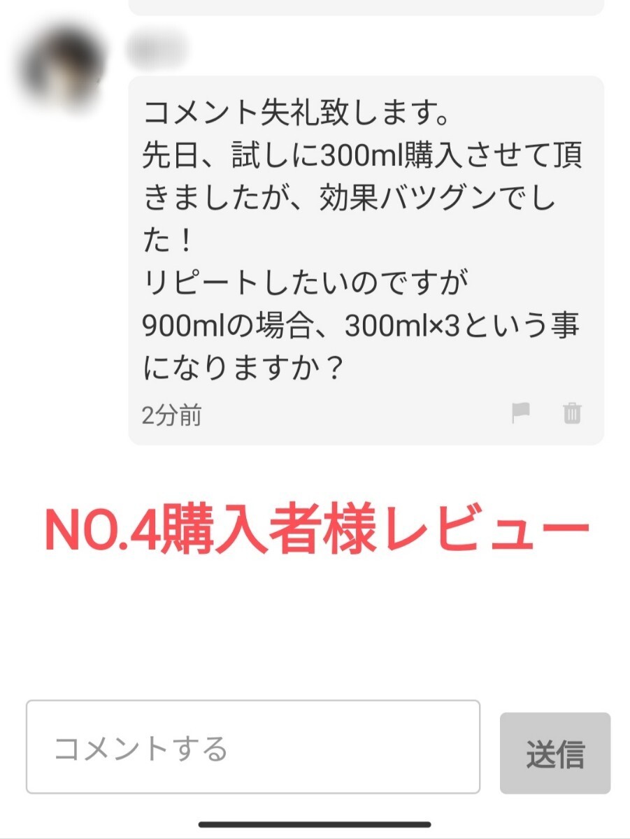 PROVIDE プロヴァイド スケール除去剤『NO.4』400ml 説明書付き