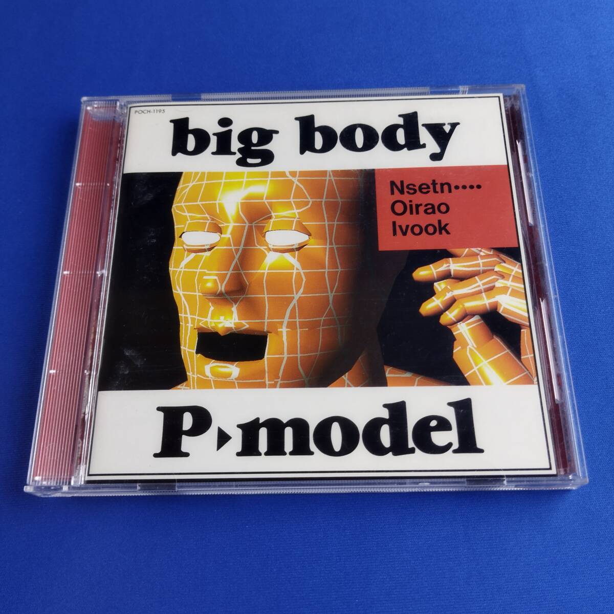 1SC6 CD P-MODEL BIG BODY_画像1