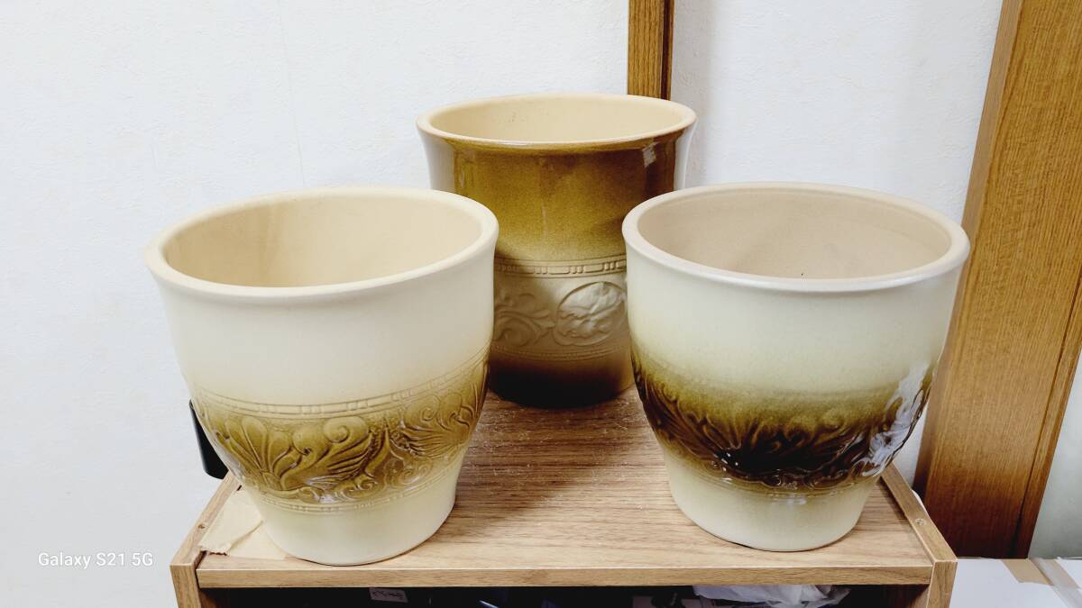  ceramics pot ③( ceramics pot )( ceramics )( pot )( decorative plant )(. butterfly orchid )( plant )( gardening )( gardening )( flower )( interior )( miscellaneous goods )( material )( planter )( bonsai )( natural flower )( family )