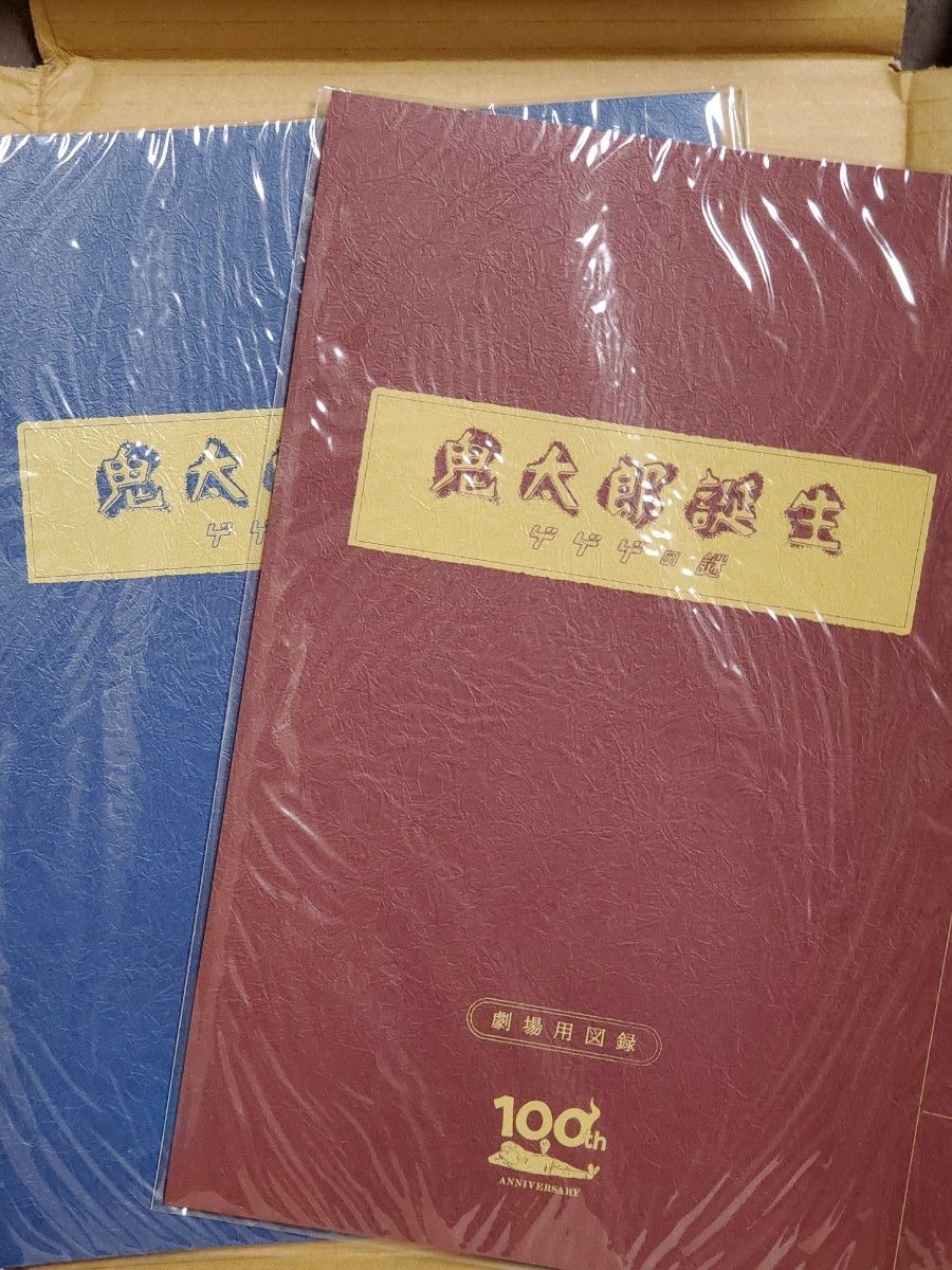 映画『鬼太郎誕生 ゲゲゲの謎』 パンフレット あい色&えんじ色　2冊セット　未読