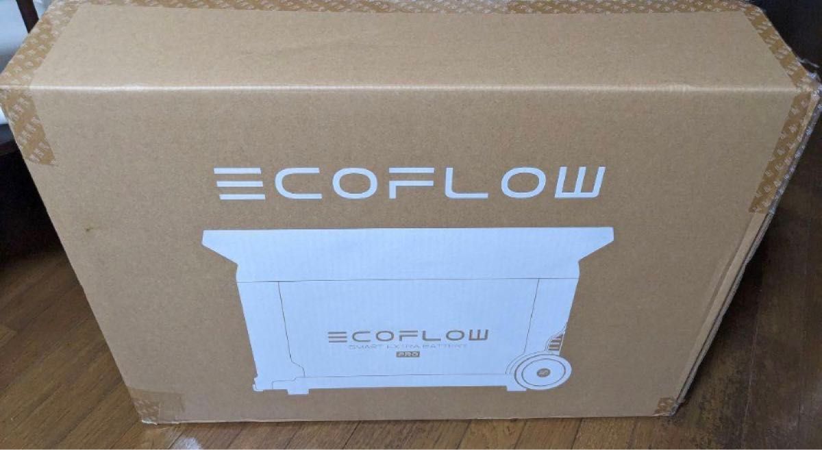 【新品】 Ecoflow DELTA Pro専用エクストラバッテリー