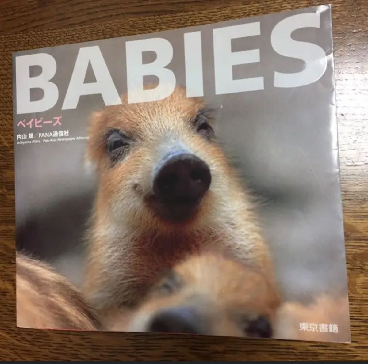 BABYS 動物の赤ちゃん 写真集