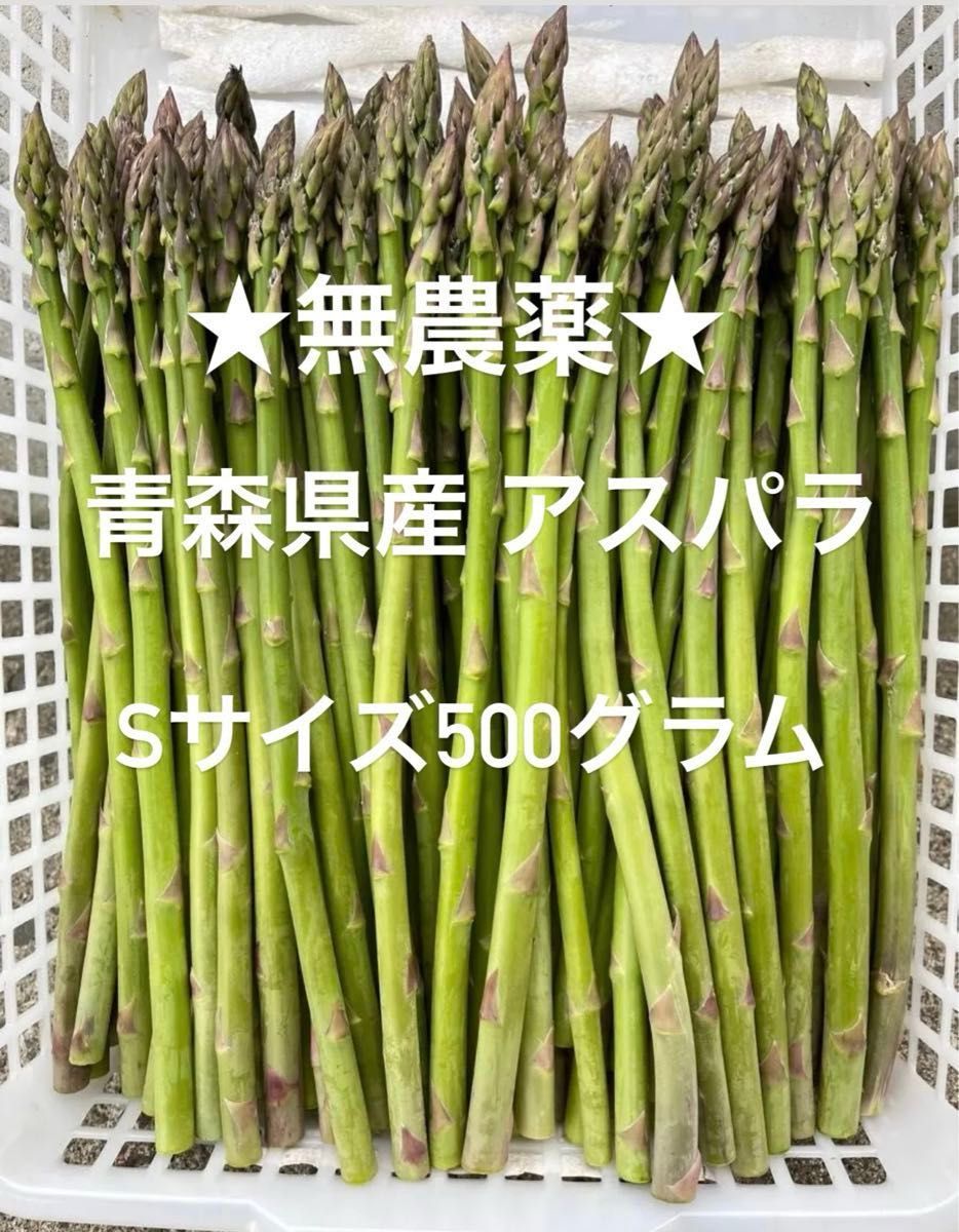 ★無農薬★ 青森県産 朝採り新鮮  アスパラ Sサイズ 500g