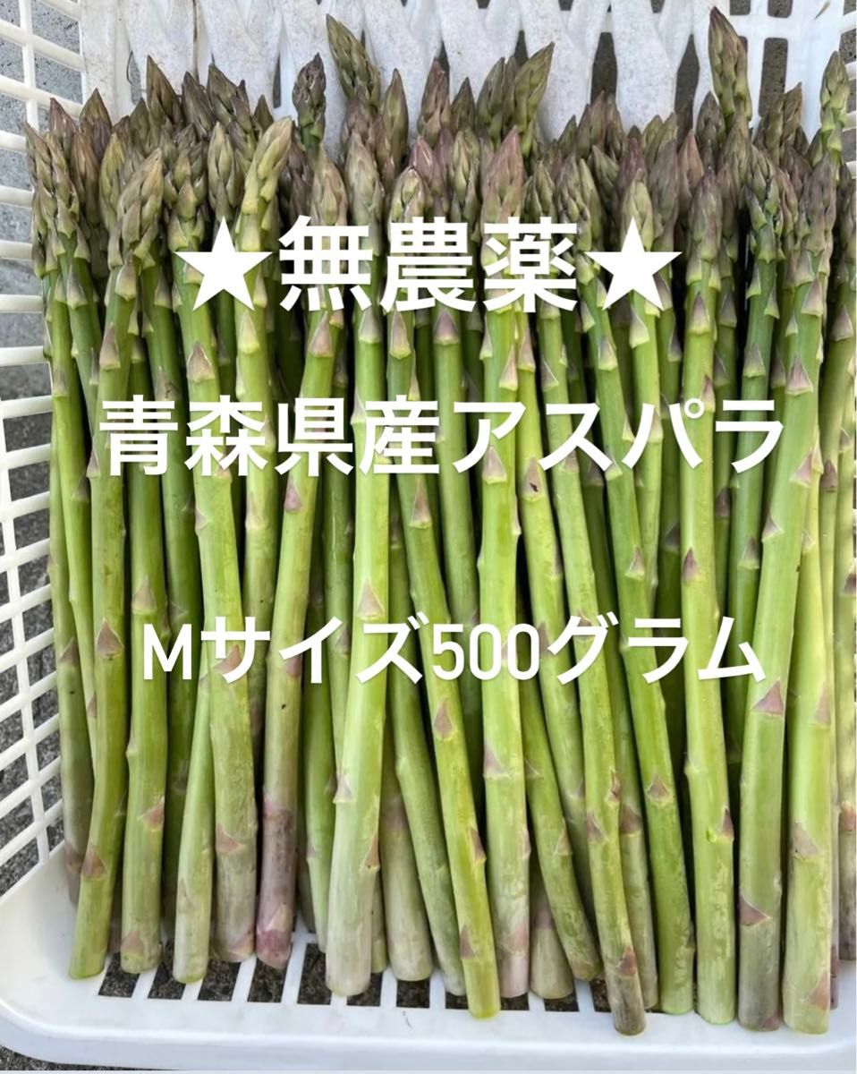 ★無農薬★ 青森県産 朝採り新鮮  アスパラガス Mサイズ500g!!